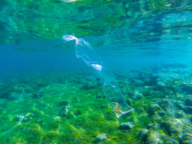 玻璃纸包海草。塑料垃圾水下照片。亚洲热带海洋生态系统的污染。生态问题图片下载