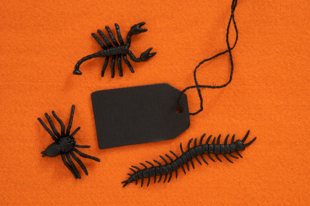 恐怖可怕的万圣节装饰，标签与复制空间图片下载