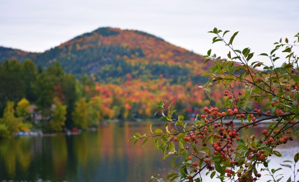 山景城图片下载