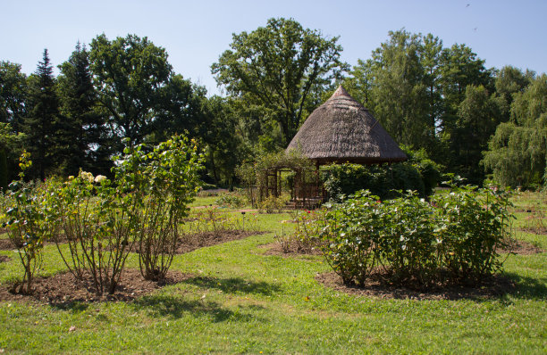 植物园内茅草屋顶小屋图片下载