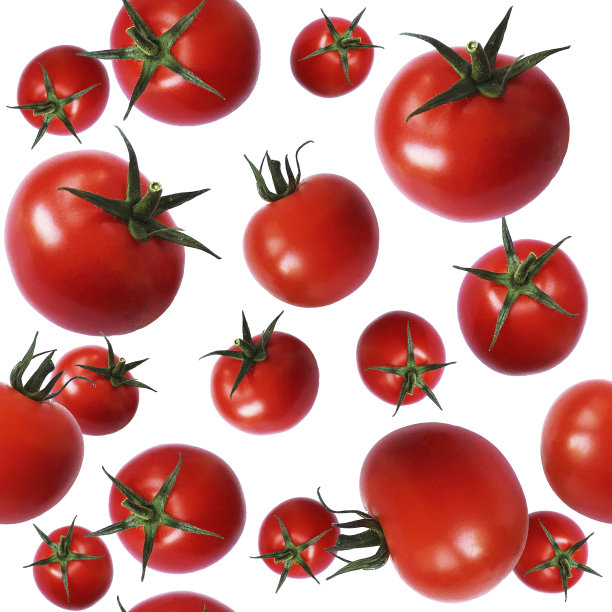 在白色背景上分离的新鲜有机樱桃番茄的无缝模式。图片下载