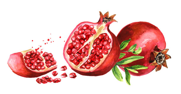 新鲜成熟的整体和切成水平组成的石榴。水彩手绘插图，孤立的白色背景素材图片