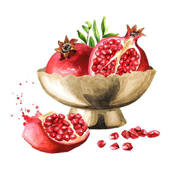 新鲜成熟的整个石榴，切成小块放入碗中。水彩手绘插图，孤立的白色背景图片下载