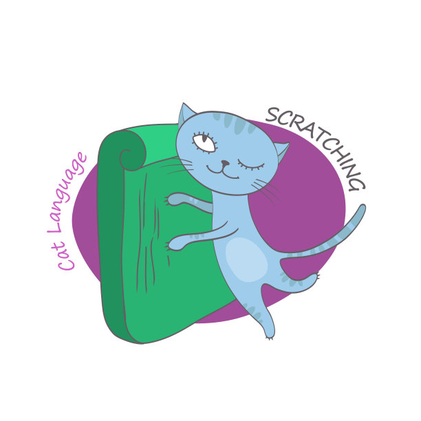 猫的行为形象图片下载