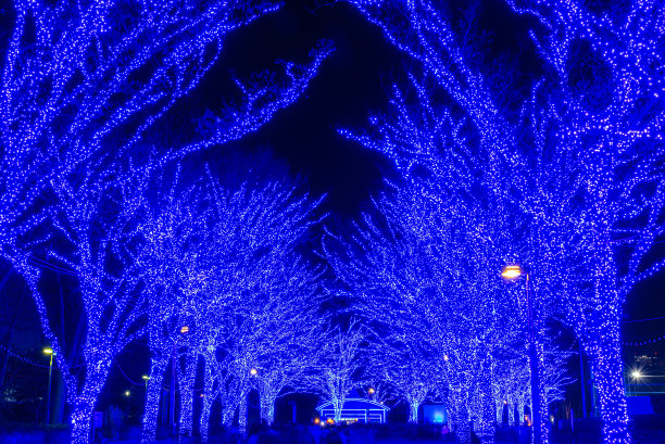 涉谷蓝洞冬季灯节图片下载