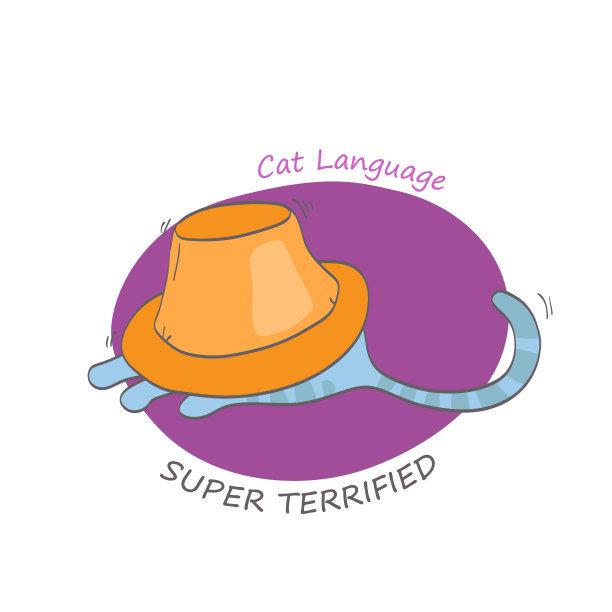 猫的行为形象图片下载