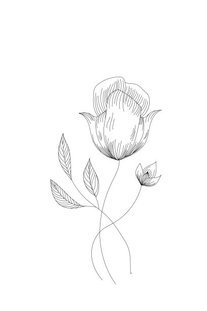 花，郁金香线扩大图标上的白色背景图片下载