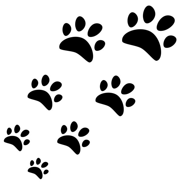 猫跟踪阴影，矢量图像。图片下载