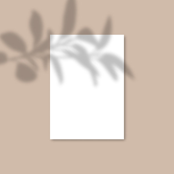 阴影覆盖植物矢量模型A4纸。阴影覆盖了树叶的效果图片下载