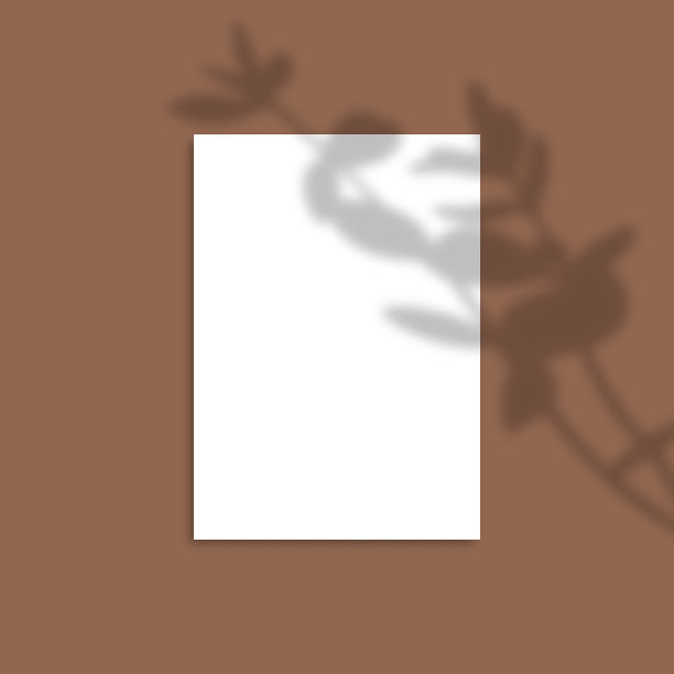 阴影覆盖植物矢量模型A4纸。阴影覆盖了树叶的效果图片下载