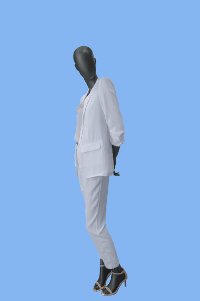 完整的女性人体模型。图片下载