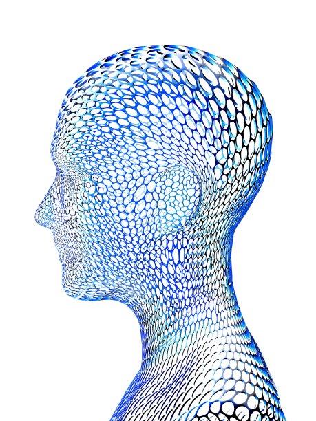 人体细胞结构概念插图。图片下载