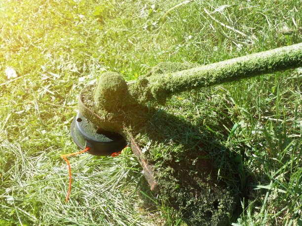 黄色绿色背景与汽油割草机与橙色编织钓鱼线在割草图片下载