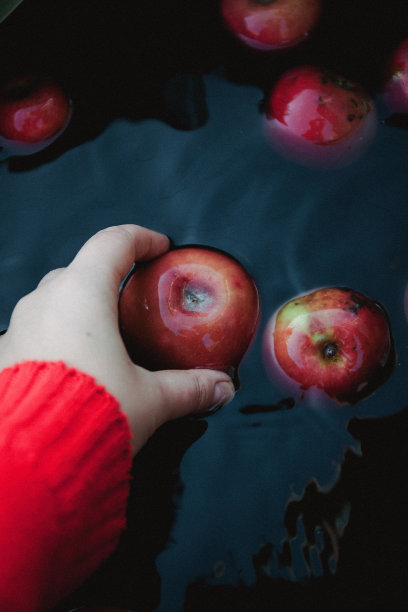 一位穿着毛衣的女性手从水中拿出了红色的秋天苹果，带有一种黑色的乡村色调图片下载