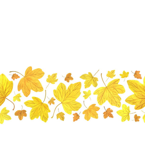 秋季插图黄叶横横幅，手绘图案的秋叶为贺卡和秋季节日装饰图片下载