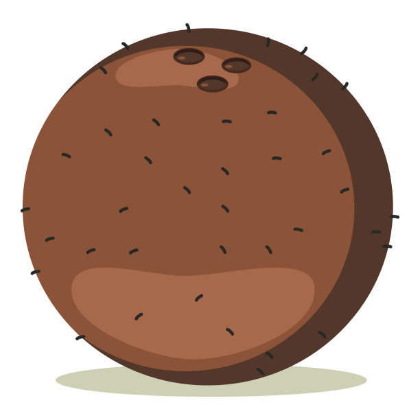 椰子水果卡通矢量插图孤立在白色的背景。图片下载