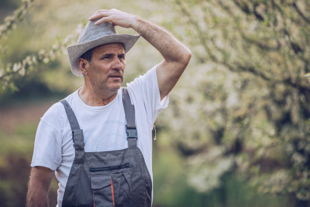 一个上了年纪的农民在花果园里图片下载