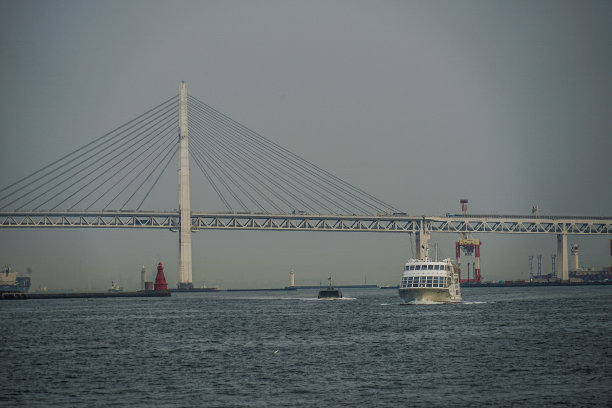 海湾大桥和游船图片下载