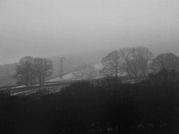 一个黑暗的乡村景象与雾覆盖的树木的剪影和雪地上的单色图像图片下载