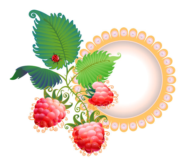 覆盆子图片下载