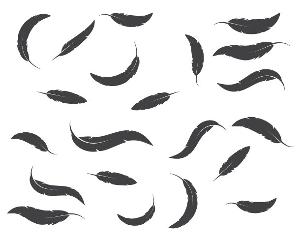 羽毛图标插图矢量模板图片下载