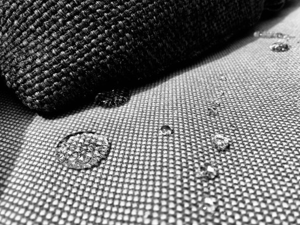 在水面上图片下载