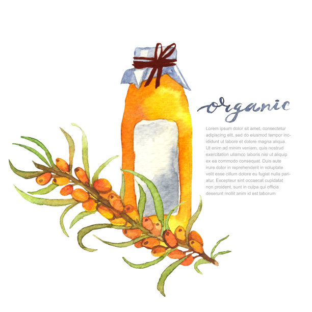 玻璃装沙棘有机浆果汁图片下载