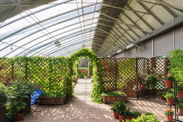 温室有机蔬菜图片下载