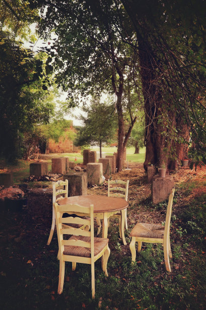 疯帽匠的桌子和椅子图片下载