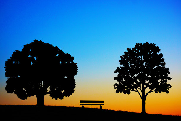 山上的长椅和一棵树的暮色图片下载