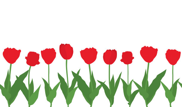 红色郁金香花白色背景无缝图案图片下载