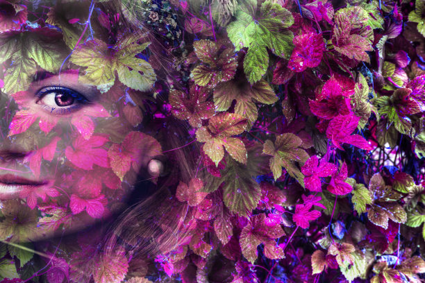 紫色的秋天与一个女性的脸的肖像图片下载