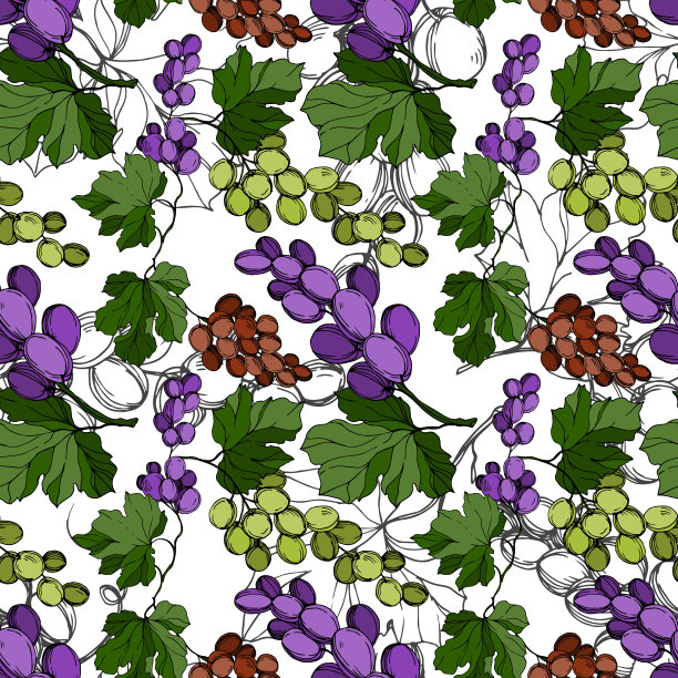 葡萄浆果健康食品。黑白篆刻水墨艺术。无缝的背景图案。图片下载