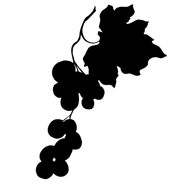 矢葡萄浆果健康食品。黑白篆刻水墨艺术。孤立葡萄插图元素。图片下载