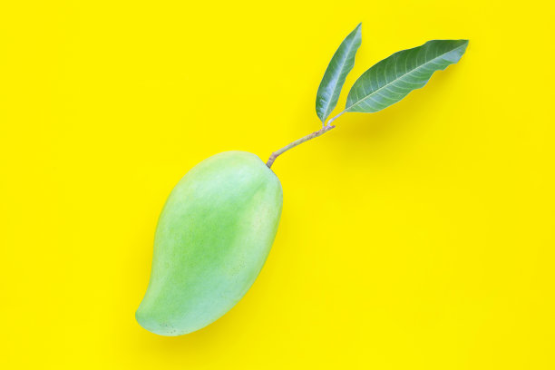 俯视图新鲜的绿色芒果，热带水果在黄色的背景。图片下载