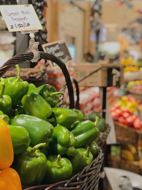 绿色的青椒图片下载