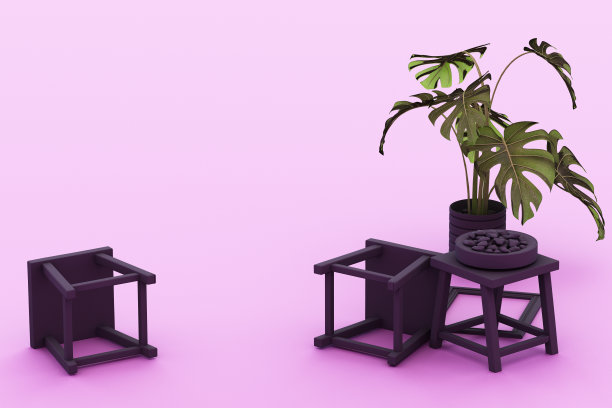 盆栽植物，仙人掌，粉彩紫色背景上的框架。三维渲染图片下载