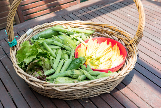 时令蔬菜篮图片下载
