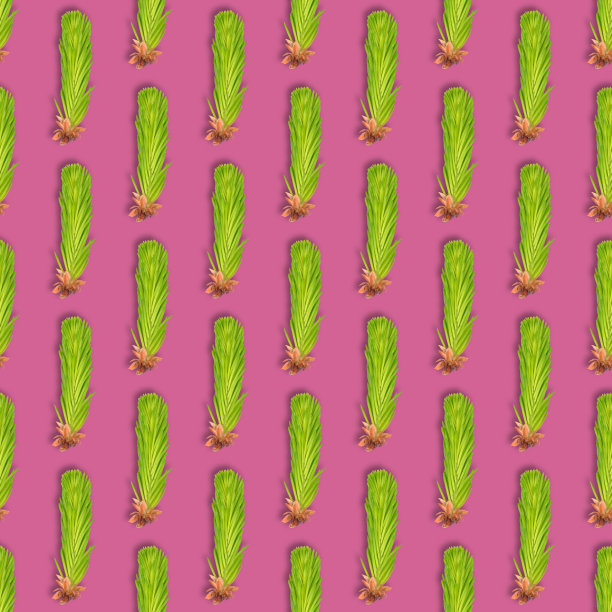 在粉红色上孤立的幼云杉枝。杉树枝桠上无缝粉红色图案。图片下载