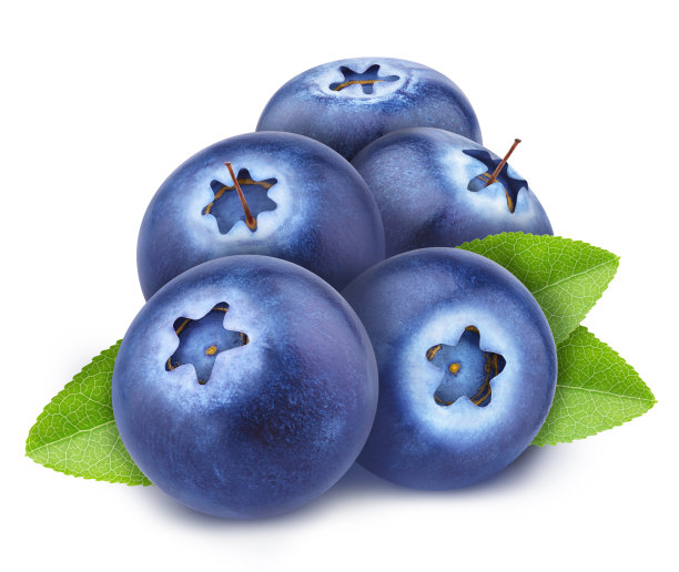 一堆蓝莓，叶子孤立在白色背景上。作为设计元素。图片下载