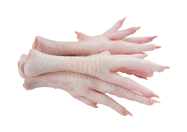 鸡爪孤立在白色图片下载