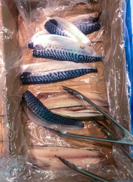 横滨市场上的干蓝鲭鱼图片下载