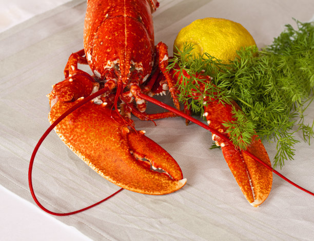 新鲜煮熟的红龙虾和柠檬莳萝躺在桌子上。图像图片下载