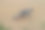 自行车躺在空旷的沙滩上图片下载