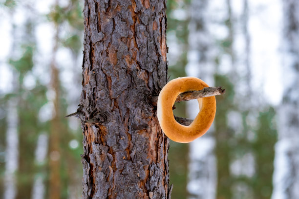 在俄罗斯，用面粉做成的圆形糖果被称为挂在树枝上的百吉饼图片下载