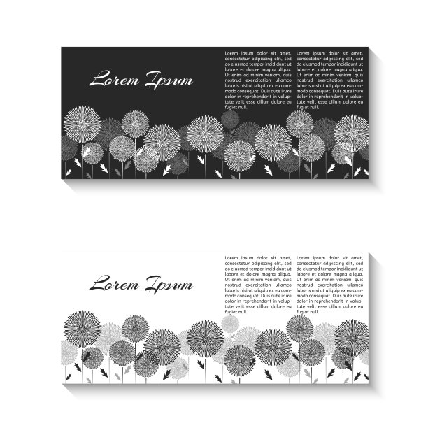 水平两传单模型黑白最小设计元素，女性的蒲公英花图案为卡水疗沙龙。优雅的花店装饰元素海报，横幅或传单。图片下载