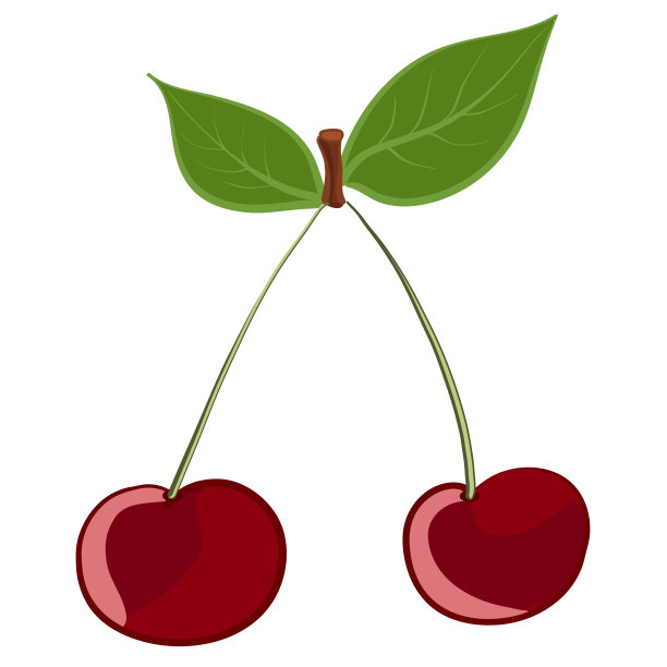 樱桃。彩绘图片下载