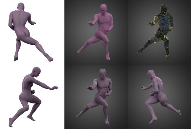 骨骼骨骼解剖采集的三维渲染图图片下载