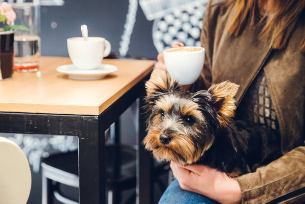 和最好的朋友一起喝咖啡图片下载