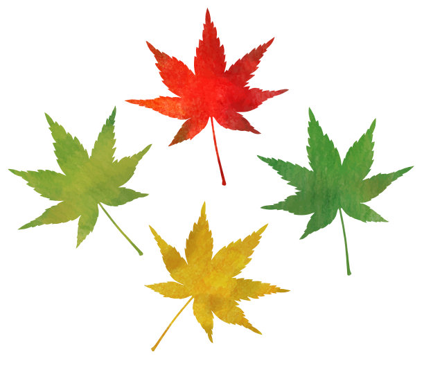 秋叶图标纹理(水彩笔)图片下载